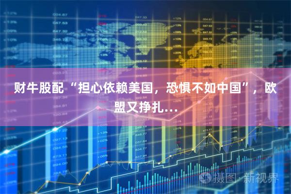 财牛股配 “担心依赖美国，恐惧不如中国”，欧盟又挣扎…