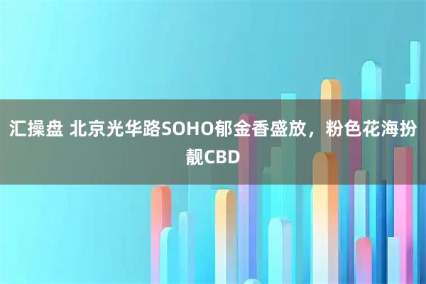 汇操盘 北京光华路SOHO郁金香盛放，粉色花海扮靓CBD
