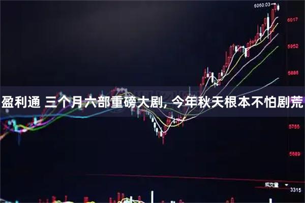 盈利通 三个月六部重磅大剧, 今年秋天根本不怕剧荒